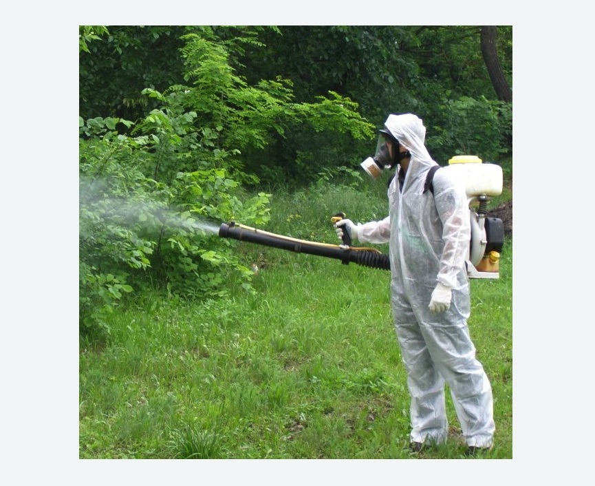 обработка территории от клещей в Черногорске