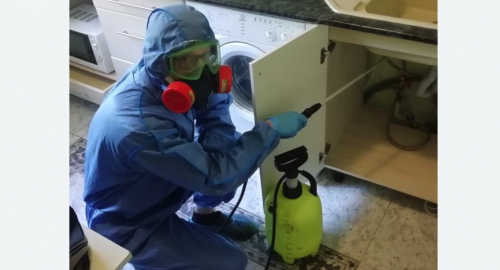 Уничтожение муравьев в квартире. Черногорск