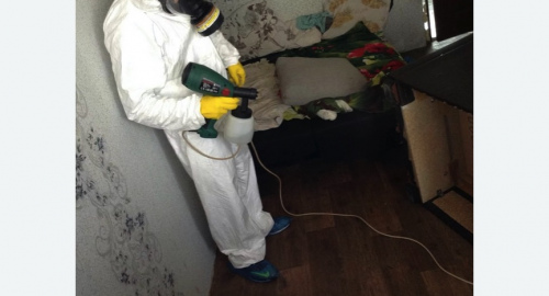 Обработка квартир от насекомых в Черногорске