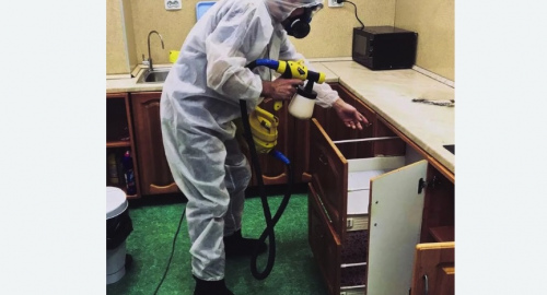 Дезинсекция квартиры. Черногорск