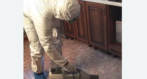 Уничтожение тараканов в квартире. Черногорск