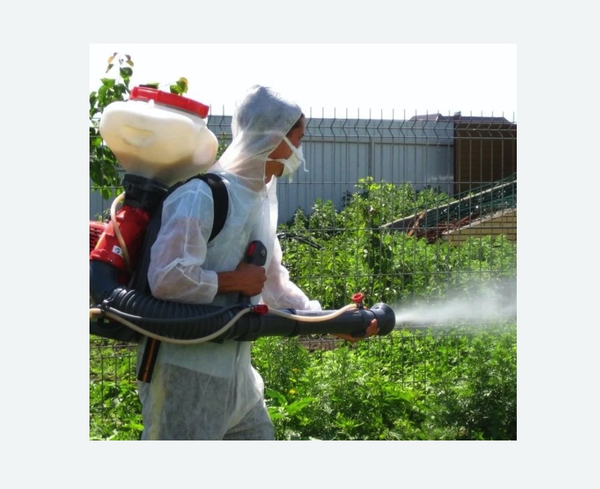 Акарицидная обработка территории в Черногорске