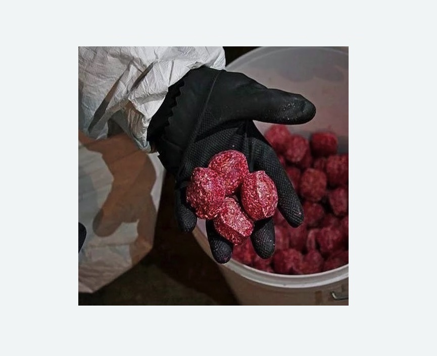 Обработка от крыс в Черногорске