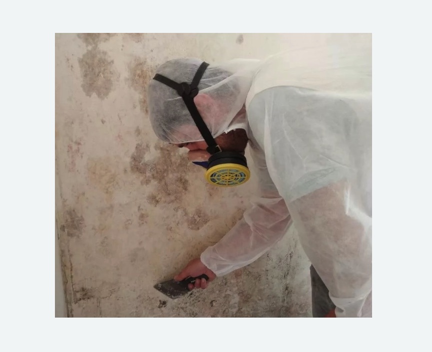 Обработка стен от плесени в Черногорске