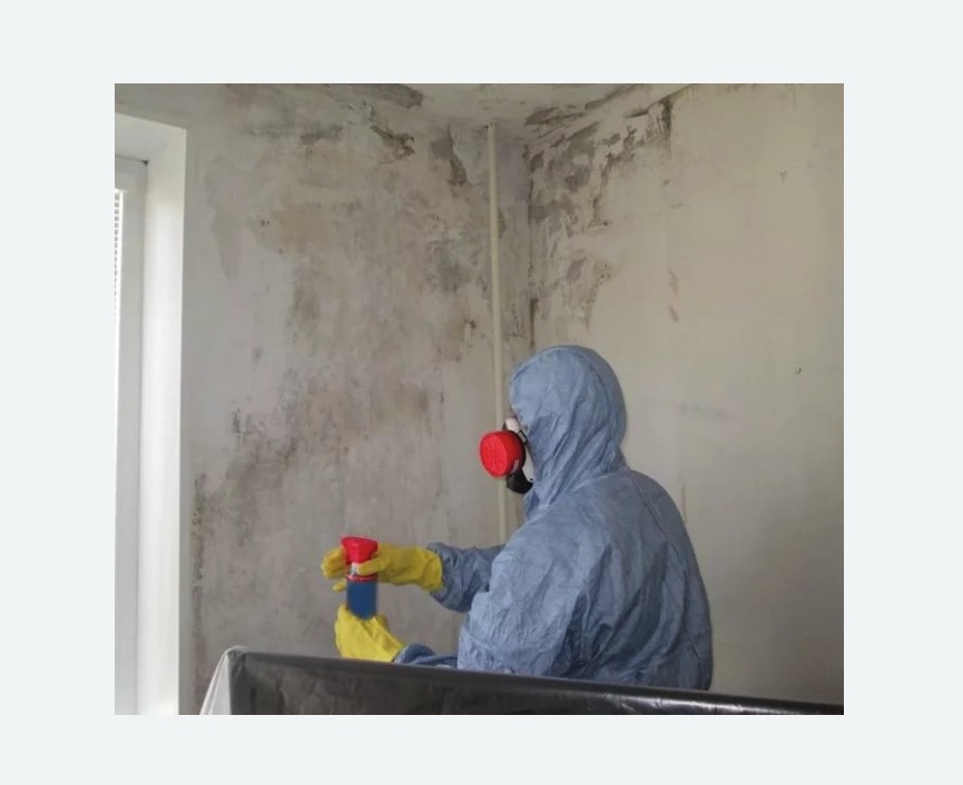 Удаление плесени в квартире в Черногорске