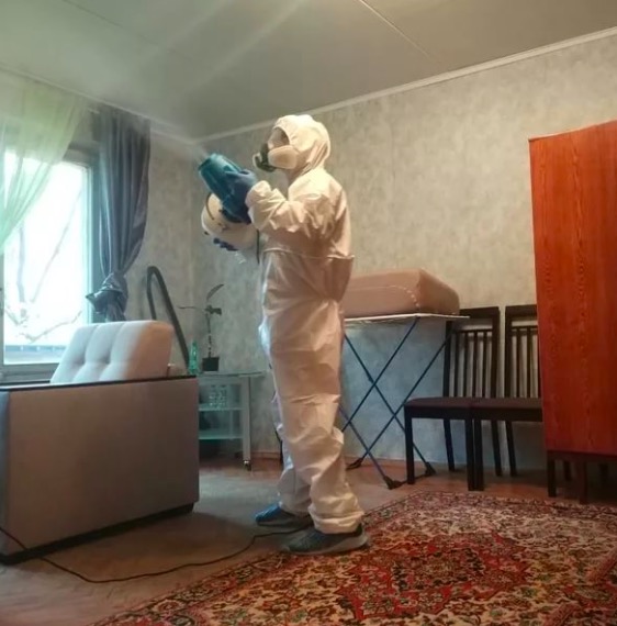 дезинсекция квартиры в Черногорске