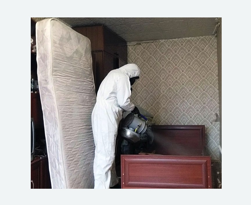 дезинфекция от клопов в Черногорске