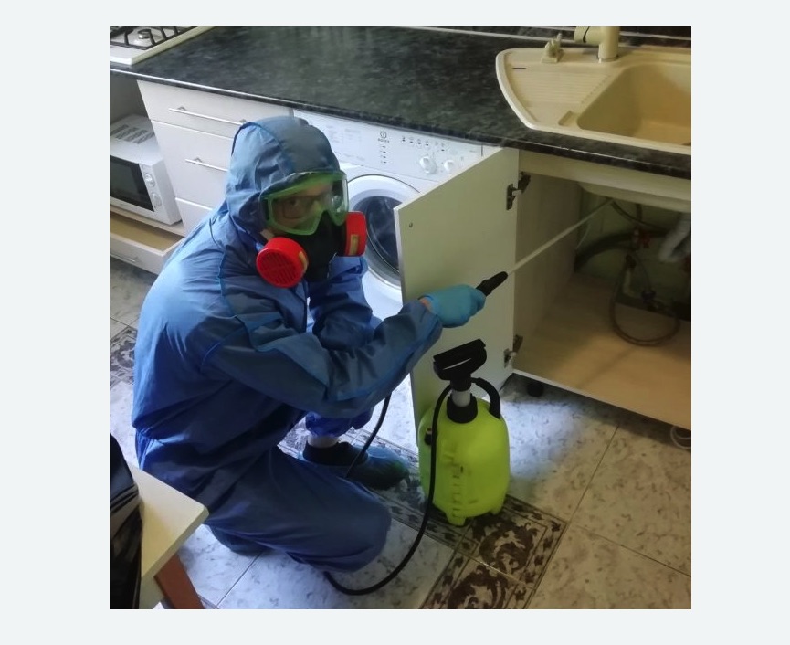 обработка от муравьев в квартире в Черногорске