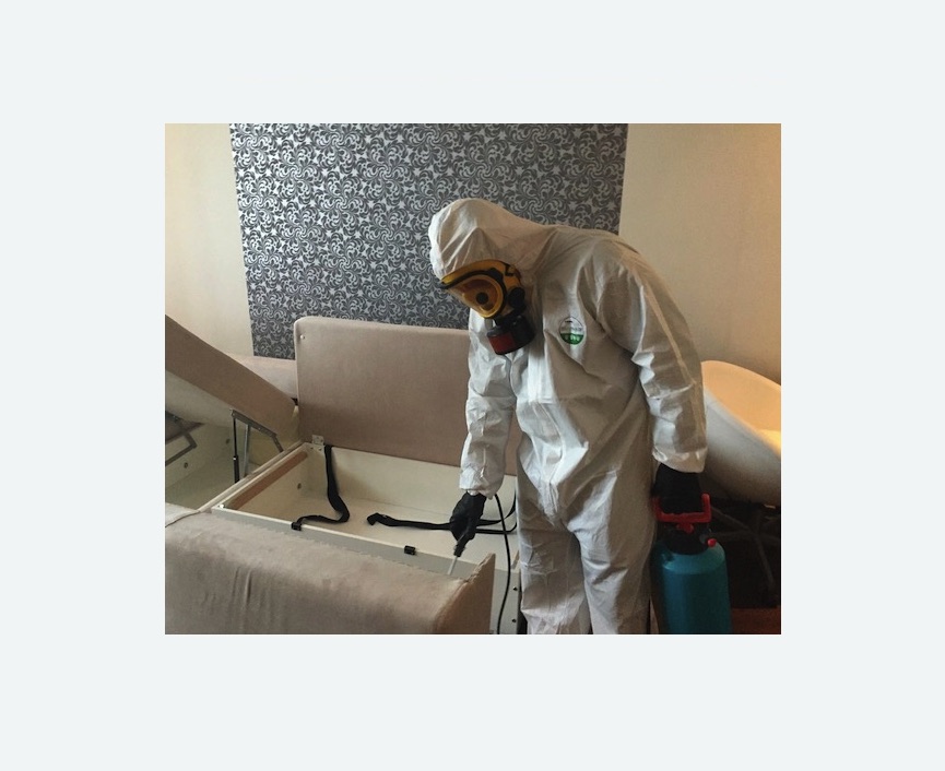 уничтожение клопов в квартире в Черногорске