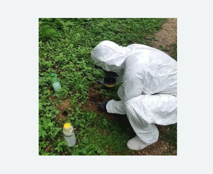 уничтожение кротов на участке в Черногорске