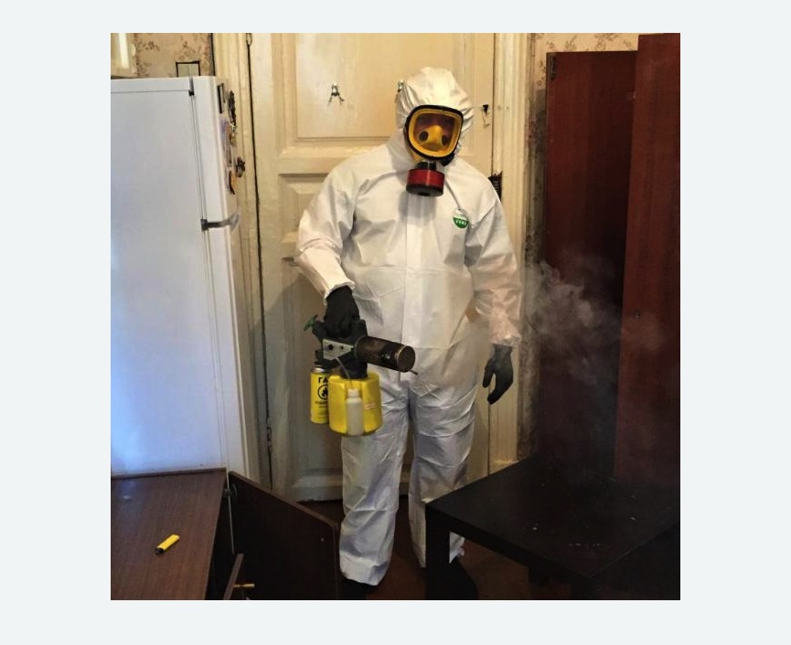 уничтожение муравьев в квартире в Черногорске